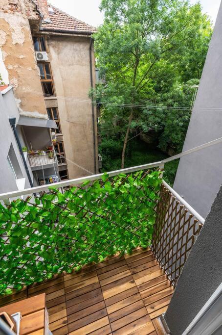 Spacious 3bd Sofia